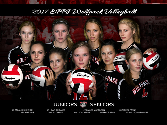 Wolfpack Volleyball Jr Sr 16x24 copy
