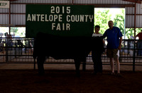 2015 Antelope County Fair - livestock premium auction