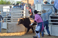 2013 Bull-O-Rama