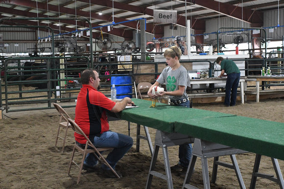 Antelope County Fair Friday Olivia Klein Elgin Nebraska Elgin Public Pope John school Antelope County news Nebraska Elgin Review 2023_6864