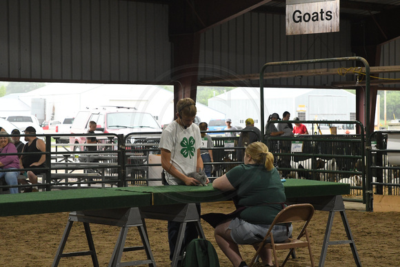 Antelope County Fair Thursday Olivia Klein Elgin Nebraska Elgin Public Pope John school Antelope County news Nebraska Elgin Review 2023_6203