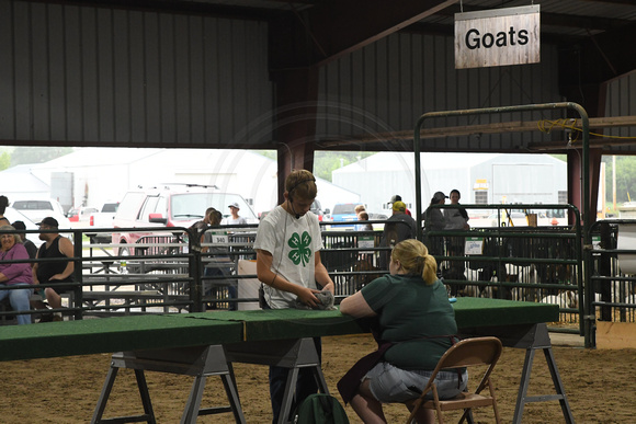 Antelope County Fair Thursday Olivia Klein Elgin Nebraska Elgin Public Pope John school Antelope County news Nebraska Elgin Review 2023_6205