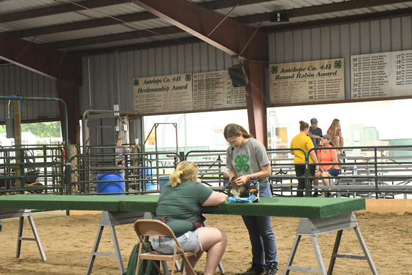 Antelope County Fair Thursday Olivia Klein Elgin Nebraska Elgin Public Pope John school Antelope County news Nebraska Elgin Review 2023_6223