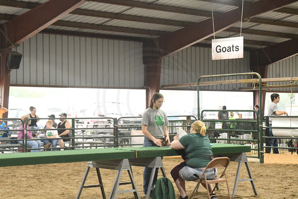 Antelope County Fair Thursday Olivia Klein Elgin Nebraska Elgin Public Pope John school Antelope County news Nebraska Elgin Review 2023_6224