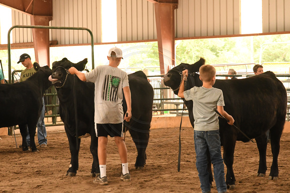 Antelope County Fair Thursday Dennis Lynell Elgin Nebraska Elgin Public Pope John school Antelope County news Nebraska Elgin Review 2023_6566