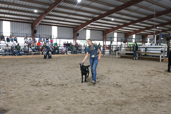 Antelope County Fair Sunday Lynell Elgin Nebraska Elgin Public Pope John school Antelope County news Nebraska Elgin Review 2023_9672