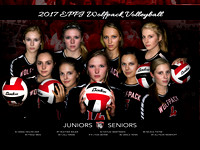 EPPJ Wolfpack Volleyball Posters