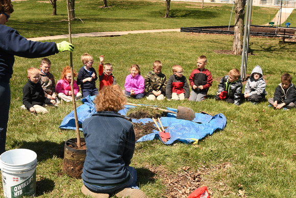 Arbor Day Young N Lively tree planting 2018 Elgin Review3731