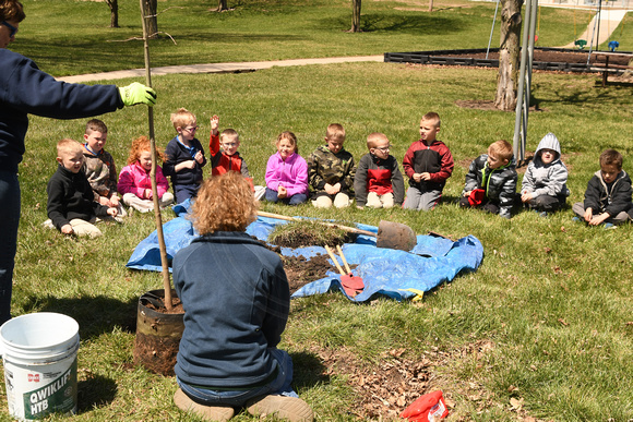 Arbor Day Young N Lively tree planting 2018 Elgin Review3733