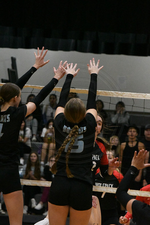 EPPJ Wolfpack vb vs Summerland NVC tourney Elgin Public Pope John EPPJ Wolfpack Cross Country Elgin Nebraska Antelope County Nebraska news Elgin Review 2023_5247