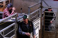 Elgin Livestock Sale April 20 cattle prices meat packing Elgin Nebraska Antelope County Nebraska news Elgin Review 2020_9121