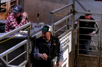Elgin Livestock Sale April 20 cattle prices meat packing Elgin Nebraska Antelope County Nebraska news Elgin Review 2020_9122