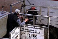 Elgin Livestock Sale April 20 cattle prices meat packing Elgin Nebraska Antelope County Nebraska news Elgin Review 2020_9123