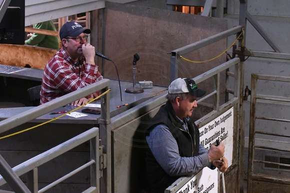 Elgin Livestock Sale April 20 cattle prices meat packing Elgin Nebraska Antelope County Nebraska news Elgin Review 2020_9127