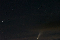NEXUS comet Elgin Nebraska Antelope County Nebraska news Elgin Review 2020 _0959