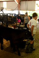 Antelope County Fair calf show beef show Elgin Nebraska Antelope County Nebraska news Elgin Review 2020__1911