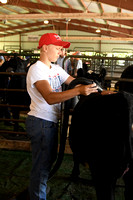 Antelope County Fair calf show beef show Elgin Nebraska Antelope County Nebraska news Elgin Review 2020__1920