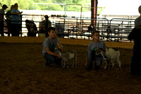 Antelope County Fair goat show Elgin Nebraska Antelope County Nebraska news Elgin Review 2020__1800