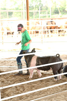 Wheeler County Fair Premium Livestock Auction Elgin Nebraska Wheeler County Nebraska news Elgin Review 2020__2678