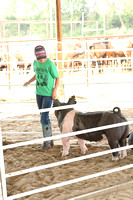 Wheeler County Fair Premium Livestock Auction Elgin Nebraska Wheeler County Nebraska news Elgin Review 2020__2679