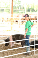 Wheeler County Fair Premium Livestock Auction Elgin Nebraska Wheeler County Nebraska news Elgin Review 2020__2680
