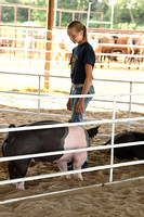 Wheeler County Fair Premium Livestock Auction Elgin Nebraska Wheeler County Nebraska news Elgin Review 2020__2687