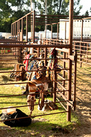 Wheeler Co. Fair - Rodeo 2020