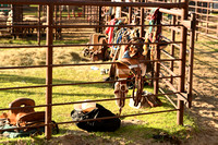 Wheeler County Fair rodeo Elgin Nebraska Wheeler County Nebraska news Elgin Review 2020__2781