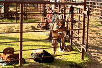 Wheeler County Fair rodeo Elgin Nebraska Wheeler County Nebraska news Elgin Review 2020__2784