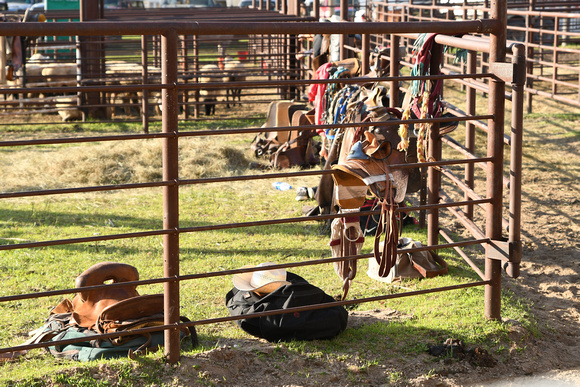 Wheeler County Fair rodeo Elgin Nebraska Wheeler County Nebraska news Elgin Review 2020__2785