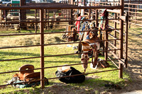Wheeler County Fair rodeo Elgin Nebraska Wheeler County Nebraska news Elgin Review 2020__2786