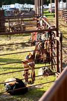 Wheeler County Fair rodeo Elgin Nebraska Wheeler County Nebraska news Elgin Review 2020__2789
