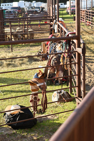 Wheeler County Fair rodeo Elgin Nebraska Wheeler County Nebraska news Elgin Review 2020__2788