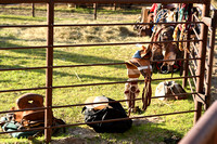 Wheeler County Fair rodeo Elgin Nebraska Wheeler County Nebraska news Elgin Review 2020__2792