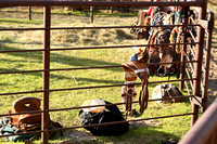 Wheeler County Fair rodeo Elgin Nebraska Wheeler County Nebraska news Elgin Review 2020__2793