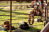 Wheeler County Fair rodeo Elgin Nebraska Wheeler County Nebraska news Elgin Review 2020__2794
