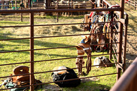Wheeler County Fair rodeo Elgin Nebraska Wheeler County Nebraska news Elgin Review 2020__2795