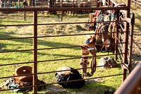 Wheeler County Fair rodeo Elgin Nebraska Wheeler County Nebraska news Elgin Review 2020__2796