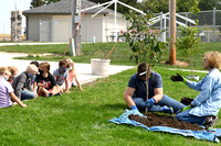 City of Elgin tree planting swimming pool Elgin Nebraska Antelope County Nebraska news Elgin Review 2020_4492