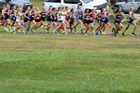 EPPJ Wolfpack Cross Country at Albion Elgin Public Pope John EPPJ Wolfpack Elgin Nebraska Antelope County Nebraska news Elgin Review 2024_3913