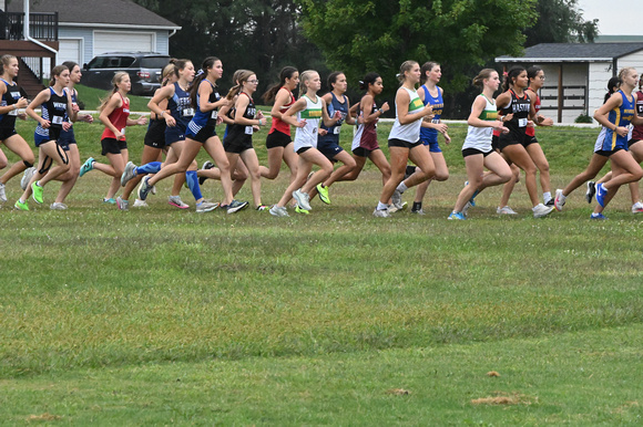 EPPJ Wolfpack Cross Country at Albion Elgin Public Pope John EPPJ Wolfpack Elgin Nebraska Antelope County Nebraska news Elgin Review 2024_3920